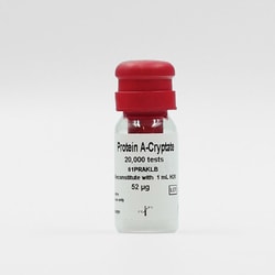 Revvity Health Sciences Inc HTRF Protein A Eu-Conjugate, 20,000 Assay Points