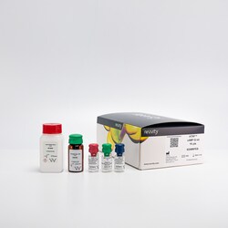 Revvity Health Sciences Inc HTRF cAMP Gi Detection Kit, 1,000 Assay Points,
