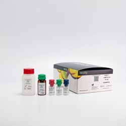 Revvity Health Sciences Inc HTRF cAMP Gi Detection Kit, 20,000 Assay Points,