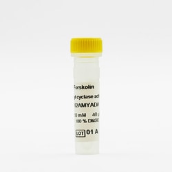 Revvity Health Sciences Inc HTRF Forskolin Adenylyl cyclase activator,