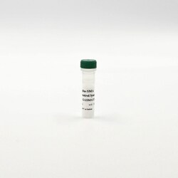 Revvity Health Sciences Inc HTRF Human -SMA Detection Kit, Control Lysate,