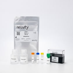 Revvity Health Sciences Inc HTRF BDNF Detection Kit, 500 Assay Points,