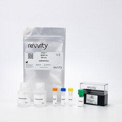 Revvity Health Sciences Inc HTRF BDNF Detection Kit, 10,000 Assay Points,