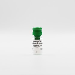 Revvity Health Sciences Inc HTRF Cynomolgus TNF- Detection Kit Standard,