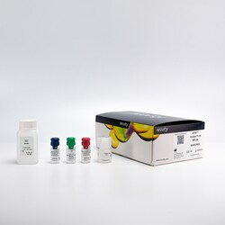 Revvity Health Sciences Inc HTRF Human IgG-Fc Detection Kit, 500 Assay Points
