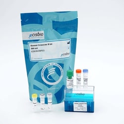 Revvity Health Sciences Inc HTRF Human Granzyme B Detection Kit, 10,000