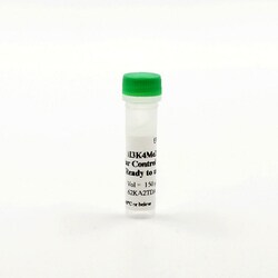 Revvity Health Sciences Inc HTRF EPIgeneous 2-methyl K4 Histone H3 Detection Kit, Control Lysate