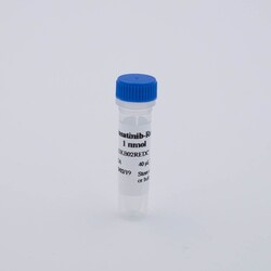 Revvity Health Sciences Inc HTRF Dasatinib Red Ligand, 20 nmoles