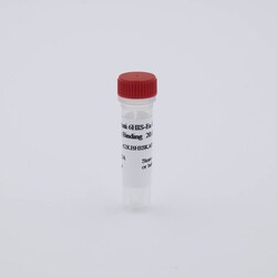 Revvity Health Sciences Inc HTRF MAb Anti 6HIS-Eu cryptate Kinase Binding