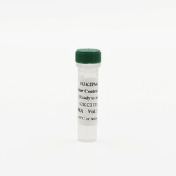 Revvity Health Sciences Inc HTRF EPIgeneous 3-methyl K27 Histone H3 Detection Kit, Control Lysate