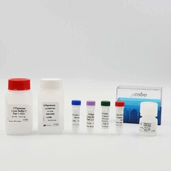 Revvity Health Sciences Inc HTRF EPIgeneous 2-methyl K36 Histone H3 Detection