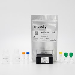 Revvity Health Sciences Inc HTRF Mouse CCL2 Detection Kit, 10,000 Assay