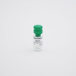 Revvity Health Sciences Inc HTRF Mouse IFN- Detection Kit Standard, 3 Vials,