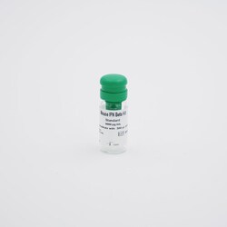 Revvity Health Sciences Inc HTRF Mouse IFN- Detection Kit Standard, Quantity: