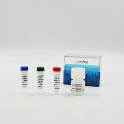 Revvity Health Sciences Inc HTRF Total Histone H3 Detection Kit, 10,000