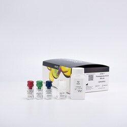 Revvity Health Sciences Inc HTRF Prostaglandin E2 Detection Kit, 100,000
