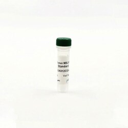 Revvity Health Sciences Inc HTRF Human MBNL1 Detection Kit Standard, Quantity:
