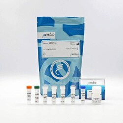 Revvity Health Sciences Inc HTRF Human MBNL1 Detection Kit, 500 Assay Points,