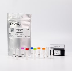 Revvity Health Sciences Inc&nbsp;HTRF Human Phospho-c-Raf (Ser338) Detection Kit, 500 Assay Points