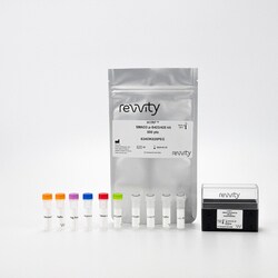 Revvity Health Sciences Inc&nbsp;HTRF Human & Mouse Phospho-SMAD3 (Ser423/425) Detection Kit, 10,000 Assay Points
