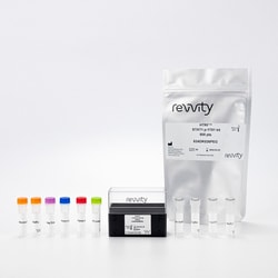 Revvity Health Sciences Inc&nbsp;HTRF Human & Mouse Phospho-STAT1 (Tyr701) Detection Kit, 50,000 Assay Points