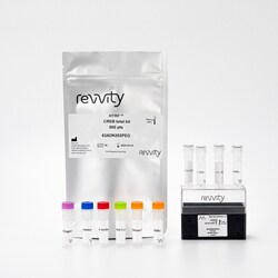 Revvity Health Sciences Inc HTRF Human & Mouse Total CREB Detection Kit,