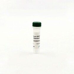 Revvity Health Sciences Inc HTRF Human MANF Detection Kit Standard, Quantity: