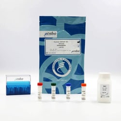 Revvity Health Sciences Inc HTRF Human MANF Detection Kit, 500 Assay Points,