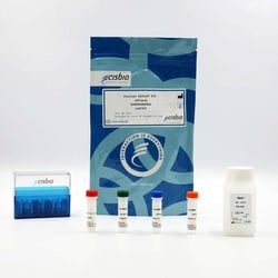 Revvity Health Sciences Inc HTRF Human MANF Detection Kit, 10,000 Assay