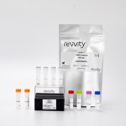 Revvity Health Sciences Inc HTRF Human & Mouse Total AMPK Detection Kit,