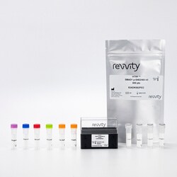 Revvity Health Sciences Inc&nbsp;HTRF Human & Mouse Phospho-SMAD1 (Ser463/465) Detection Kit, 96 Assay Points