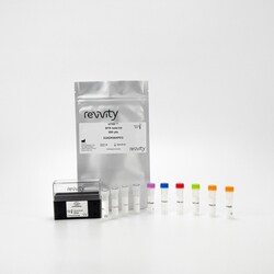 Revvity Health Sciences Inc HTRF Human Total BTK Detection Kit, 500 Assay