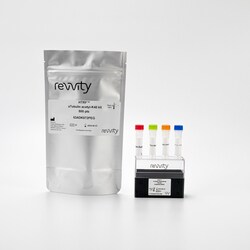 Revvity Health Sciences Inc HTRF acetyl K40 -Tubulin Detection Kit, 10,000