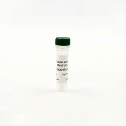 Revvity Health Sciences Inc HTRF acetyl K40 -Tubulin Detection Kit, Control