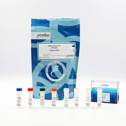 Revvity Health Sciences Inc HTRF -Tubulin Detection Kit, 500 Assay Points,