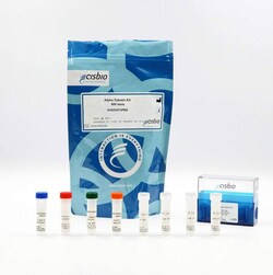 Revvity Health Sciences Inc HTRF -Tubulin Detection Kit, 10,000 Assay Points,