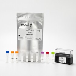 Revvity Health Sciences Inc&nbsp;HTRF Human Phospho-AKT1 (Ser473) Detection Kit, 500 Assay Points