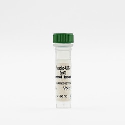 Revvity Health Sciences Inc HTRF Human Phospho-AKT3 (Ser473) Detection Kit, Control Lysate