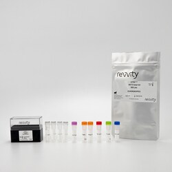 Revvity Health Sciences Inc HTRF Human Total AKT3 Detection Kit, 50,000