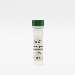 Revvity Health Sciences Inc&nbsp;HTRF Human Total AKT3 Detection Kit, Control Lysate