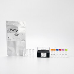 Revvity Health Sciences Inc&nbsp;HTRF Human Total I&kappa;K&beta; Detection Kit, 500 Assay Points