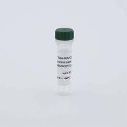 Revvity Health Sciences Inc HTRF Human Total IRAK3 Detection Kit, Control