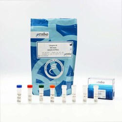 Revvity Health Sciences Inc HTRF Utrophin Detection Kit, 10,000 Assay Points,