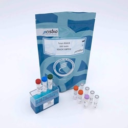 Revvity Health Sciences Inc HTRF Human Total IRAK4 Detection Kit, 10,000