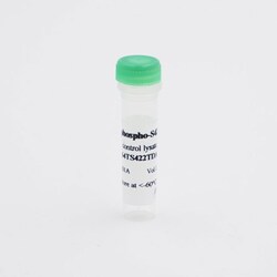 Revvity Health Sciences Inc HTRF Human & Mouse Phospho-Tau (Thr422) Detection Kit, Control Lysate
