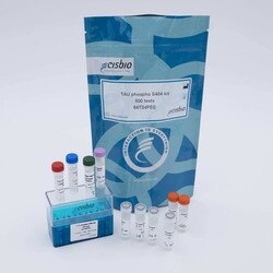 Revvity Health Sciences Inc HTRF Human Phospho-Tau (Ser404) Detection Kit,
