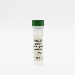 Revvity Health Sciences Inc HTRF Human & Mouse Phospho-YAP (Ser127) Detection