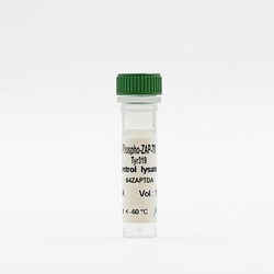 Revvity Health Sciences Inc HTRF Human Phospho-ZAP70 (Tyr319) Detection