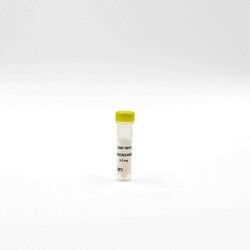 Revvity Health Sciences Inc HTRF Anti-DNP Labeling Reagent, 1 mg, Quantity:
