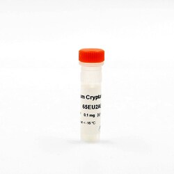 Revvity Health Sciences Inc HTRF Anti-Europium NH2 Labeling Reagent, 100